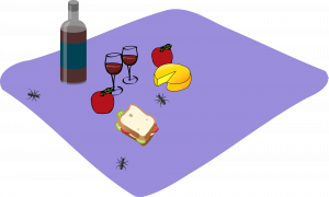 Flasche Rotwein, zwei Rotweingläser, 1 Käse, 2 Äpfel, ein belegtes Brot auf lila Tischdecke